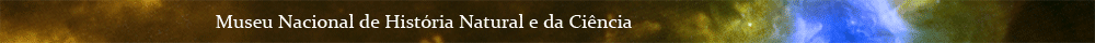 barraMuseus1