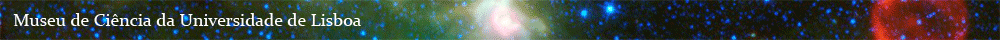 barraMuseus10