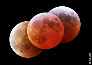 Composição de imagens obtida pelo astrónomo amador Pedro Ré durante o eclipse total da Lua de março de 2007.